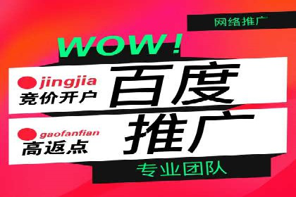 百度竞价托管运营团队案例分析